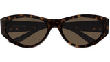 BB0367S 002 Dark Havana Brown