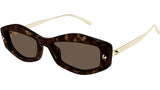 AM0482S 002 Dark Havana Brown