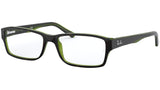 RB5169 top havana on green transparent