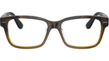 BC3003 1014 Havana Tortoise