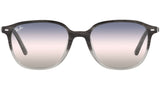 Leonard RB2193 gradient grey havana