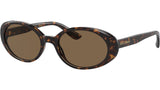 DG 4443 502/73 Tortoise Brown