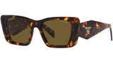 PR 08YS VAU01T honey tortoise