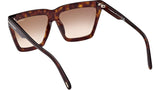 Eden FT1110 52F Havana Brown