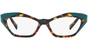 Monette 3094 006 tortoise